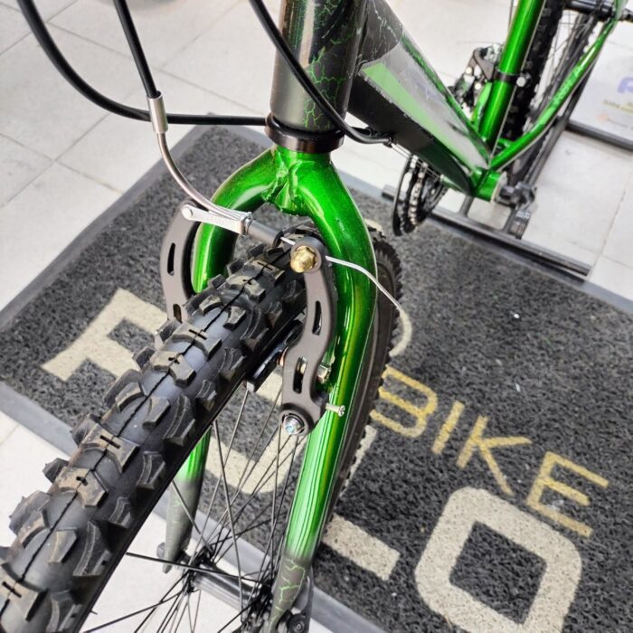 Bicicleta Roca Acero Rin 26 Verde
