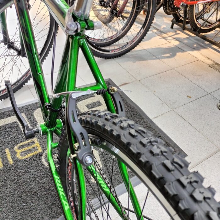 Bicicleta Roca Acero Rin 26 Verde