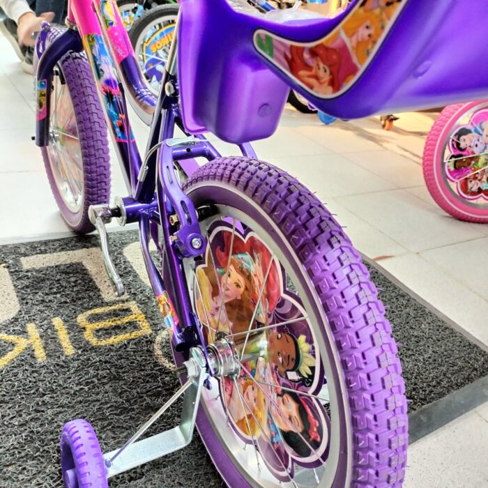 Bicicleta Princesas Disney Rin 16 Full equipo