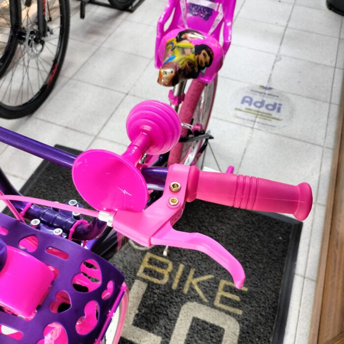 Bicicleta Princesas Disney Rin 20 Full equipo