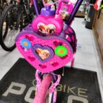 Bicicleta Princesas Disney Rin 20 Full equipo