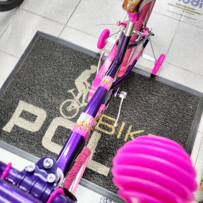 Bicicleta Princesas Disney Rin 20 Full equipo