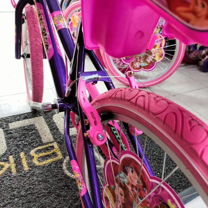 Bicicleta Princesas Disney Rin 20 Full equipo
