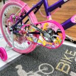 Bicicleta Princesas Disney Rin 20 Full equipo
