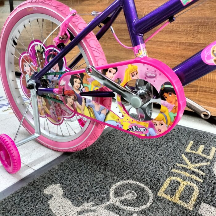 Bicicleta Princesas Disney Rin 20 Full equipo